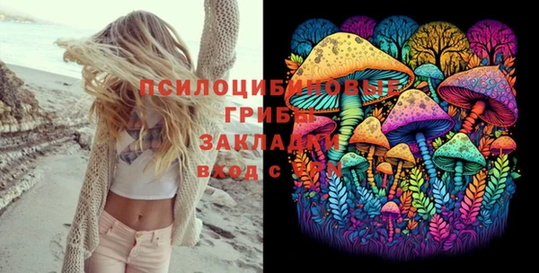 спиды Алексеевка