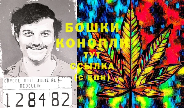 молекула духа Алексин