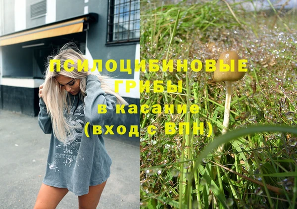 соль курить ск Алзамай