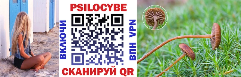 Псилоцибиновые грибы GOLDEN TEACHER  darknet официальный сайт  Зуевка 